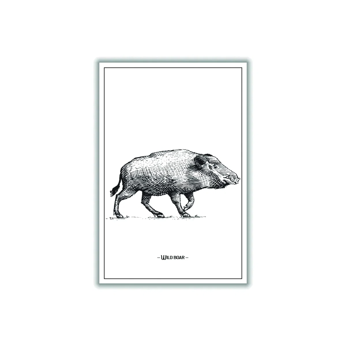 Grey Wild Boar A3 297 X 420Mm Stanley Print House – image 1