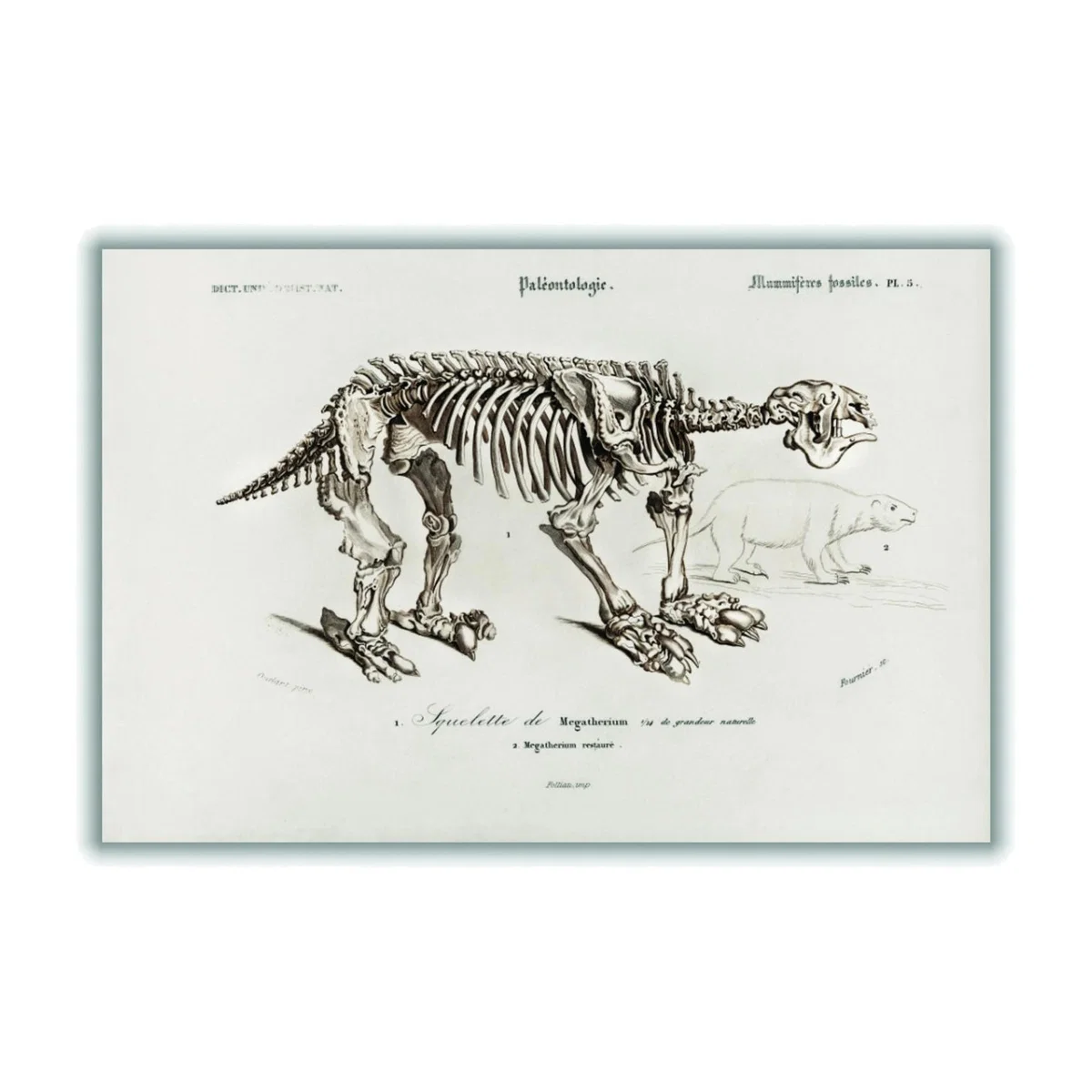 Grey Megatherium Large Stanley Print House – image 1