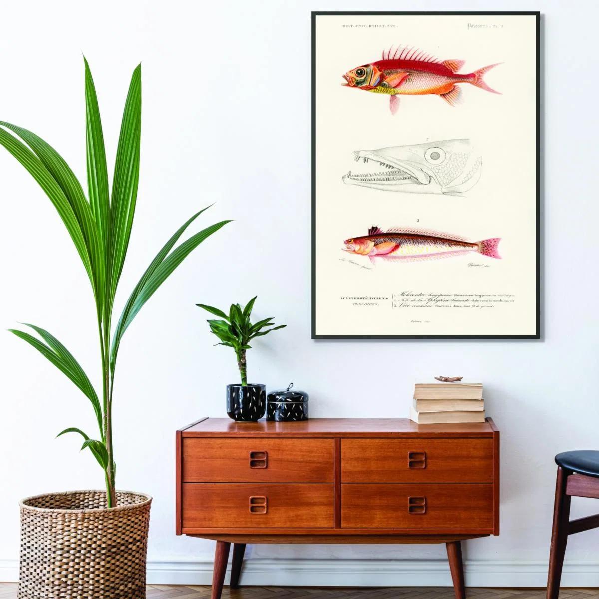 Yellow / Orange Natural History - Different Types Of Fish 8 Large Stanley Print House – image 3