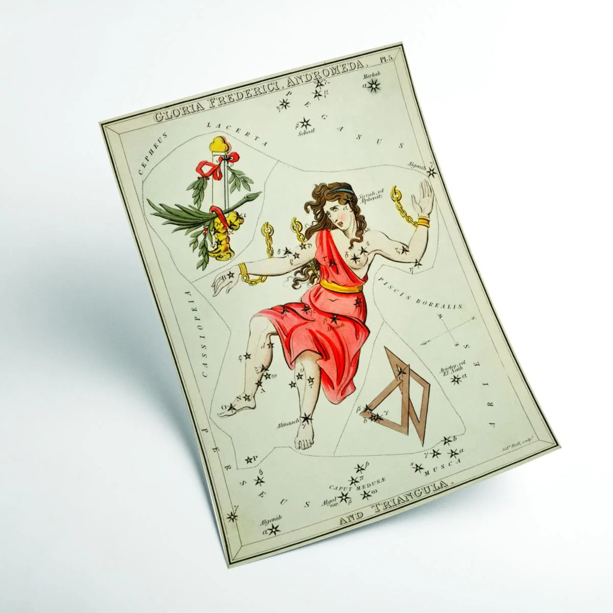 Yellow / Orange Astronomical Chart Illustration Of Gloria Frederici Andromeda Small Stanley Print House – image 2