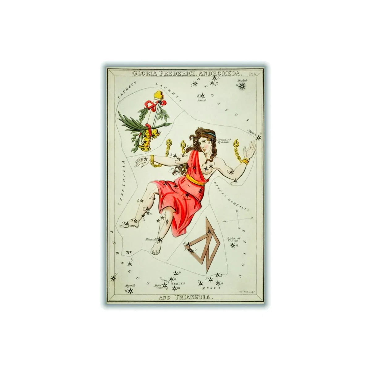 Yellow / Orange Astronomical Chart Illustration Of Gloria Frederici Andromeda Small Stanley Print House – image 1