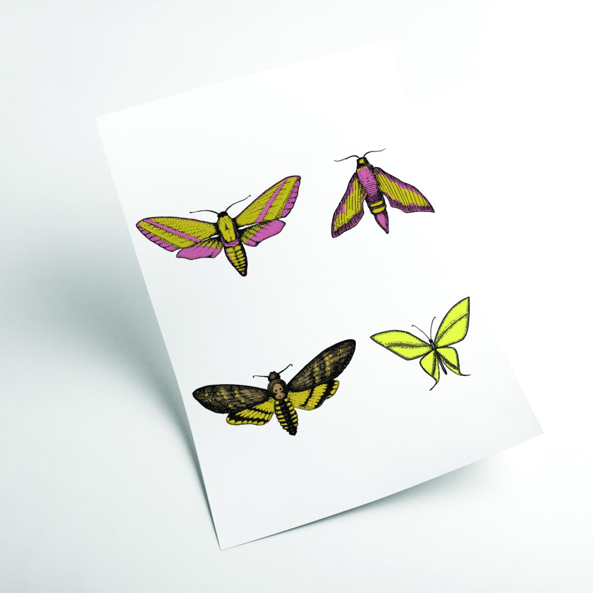Vintage Moths A1 594 X 841Mm Stanley Print House – image 2