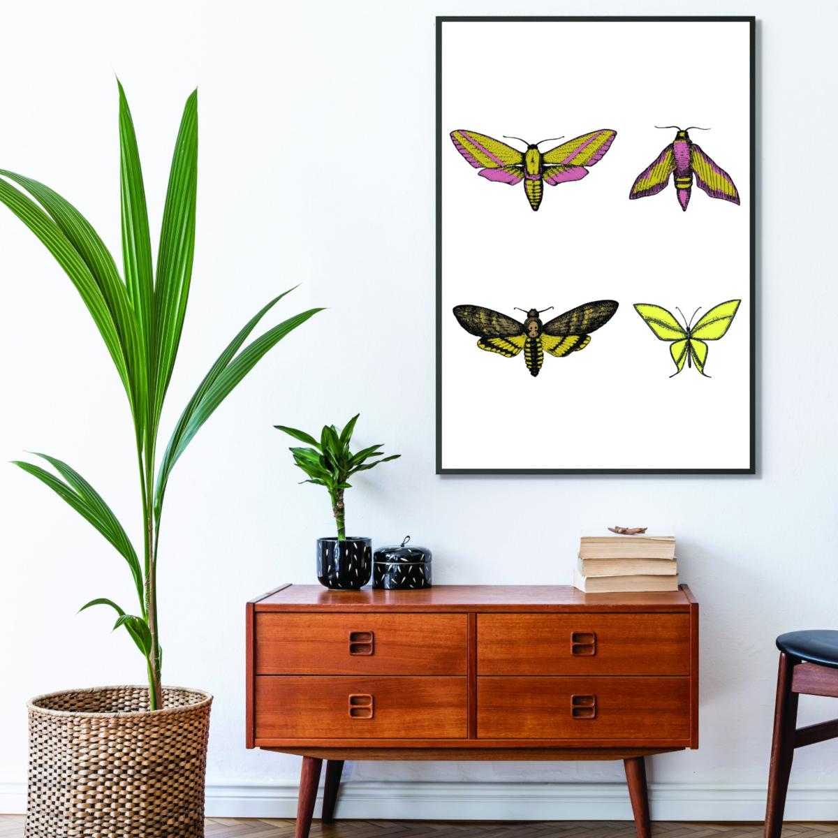 Vintage Moths A1 594 X 841Mm Stanley Print House – image 3