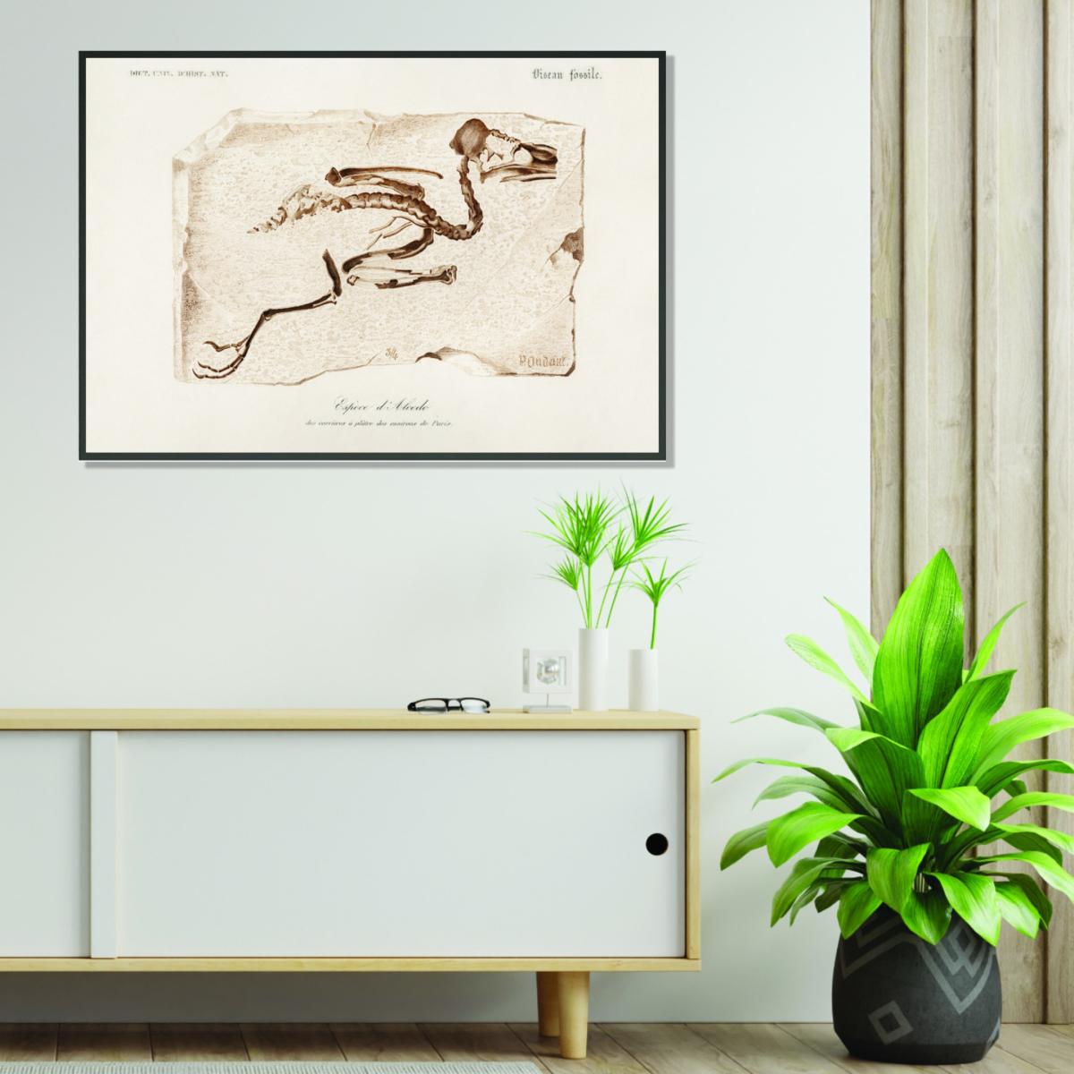 Brown Kingfisher A4 210 X 297Mm Stanley Print House – image 3