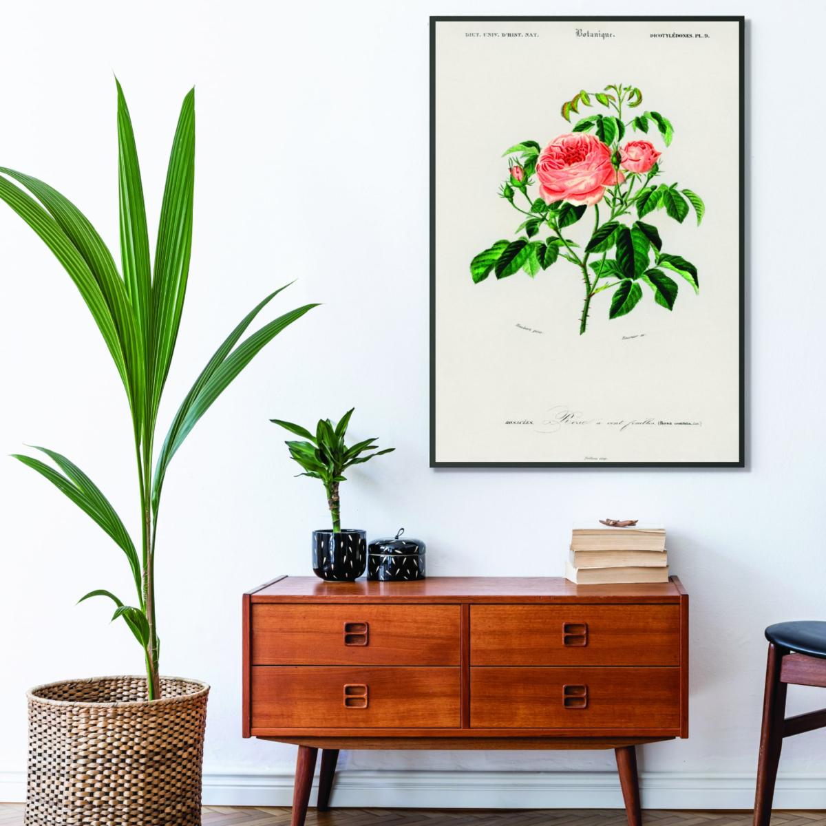 Green Cabbage Rose Medium Stanley Print House – image 3