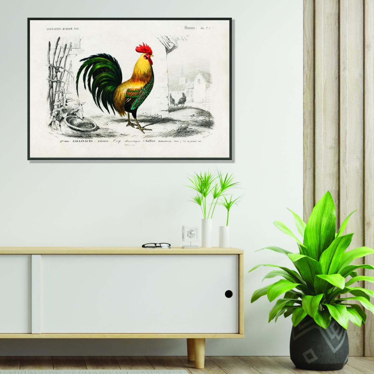 Yellow / Orange Cock Xxs Stanley Print House – image 3