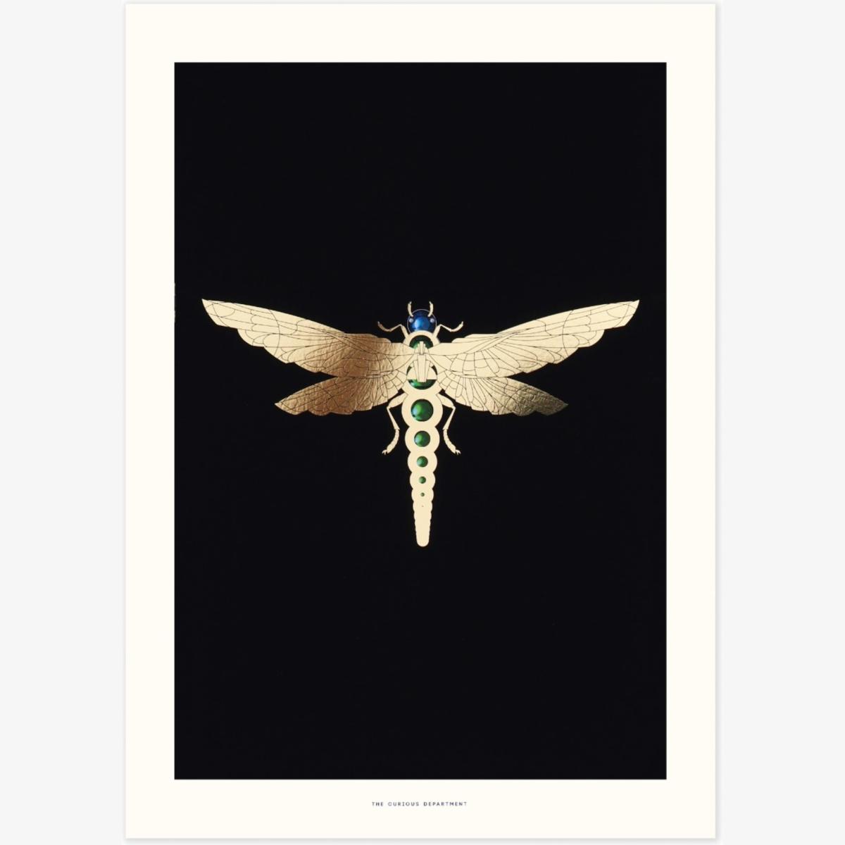 Green / Gold Zellandine's Dragonfly - A3 Gold Art Print The Curious Department – image 1