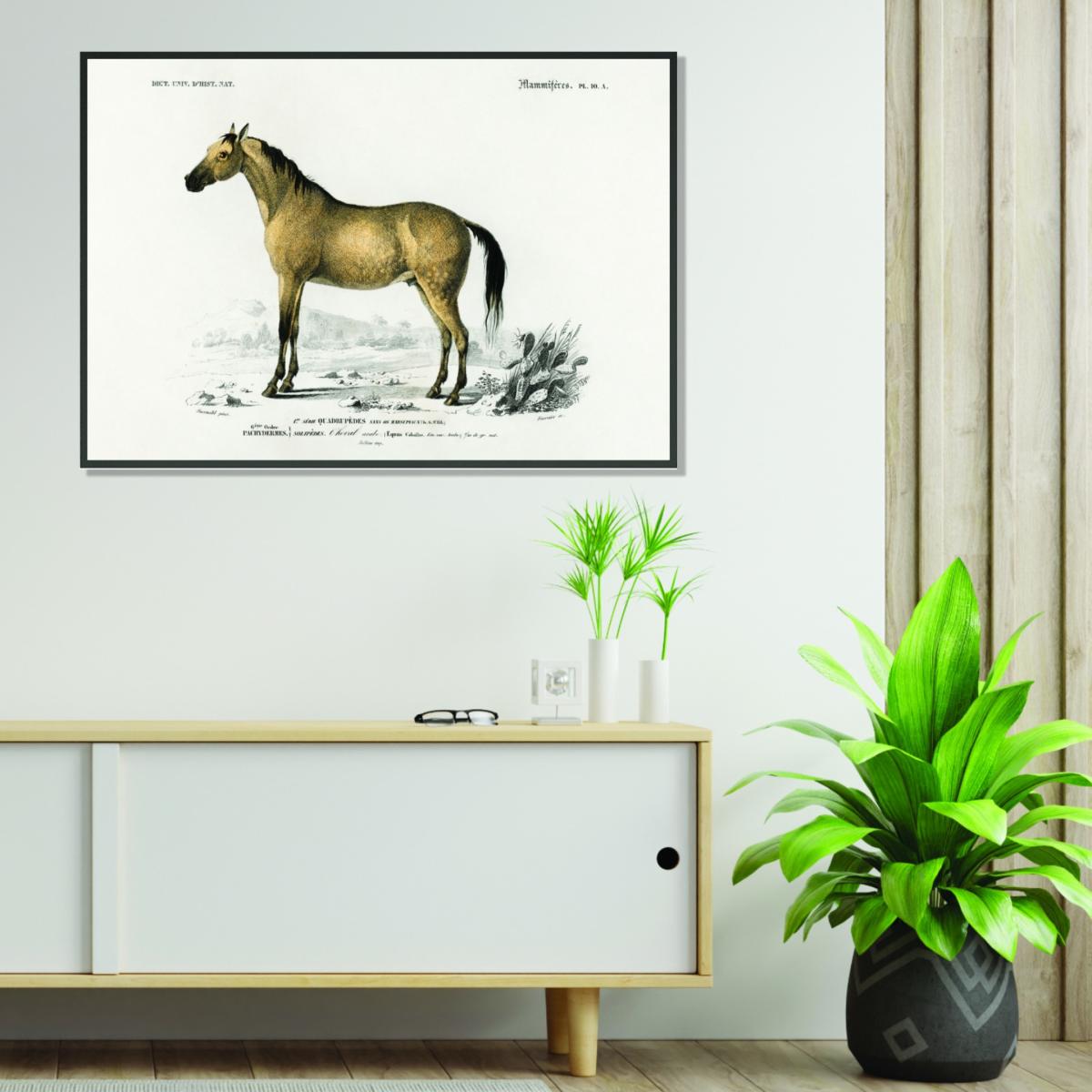 Gold Horse A1 594 X 841Mm Stanley Print House – image 3