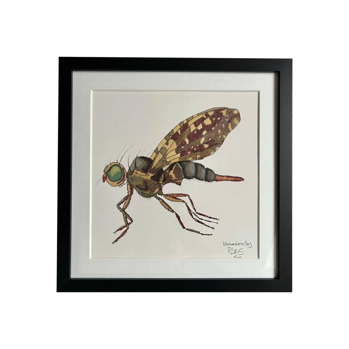 Painting Brown Fly Catchii – image 1