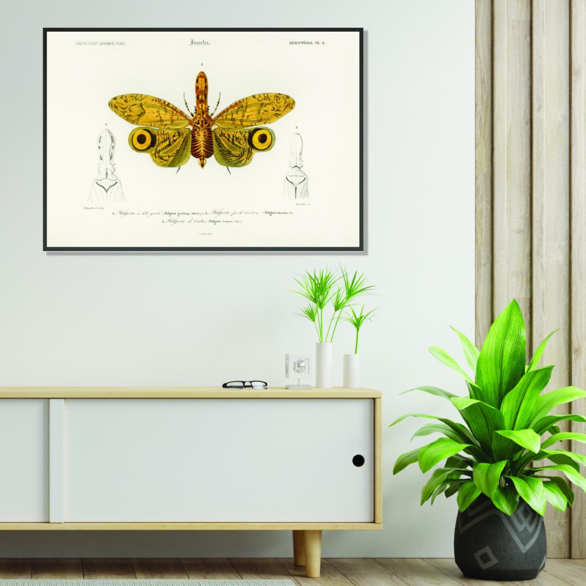 Yellow / Orange Fulgora Graciliceps Large Stanley Print House – image 3