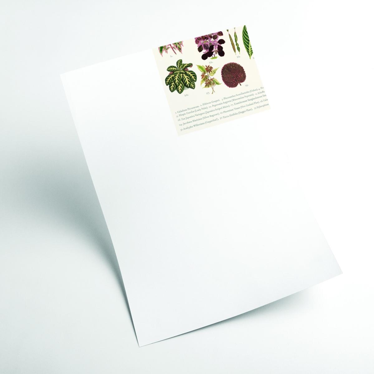 Green Types Of Leaves Large Stanley Print House – image 2
