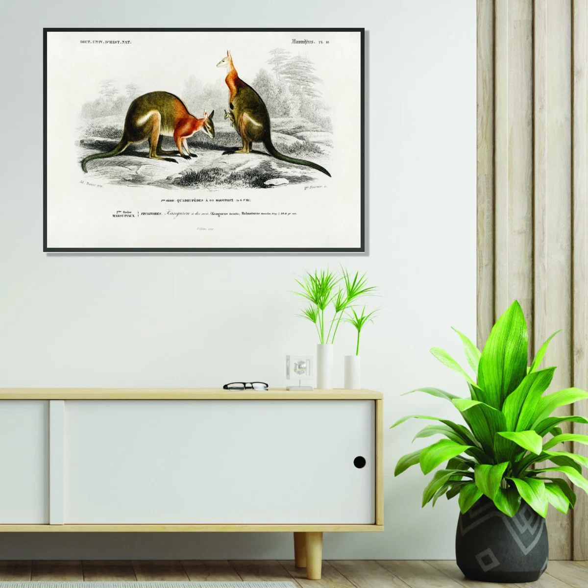 Yellow / Orange Macropus A1 594 X 841Mm Stanley Print House – image 3