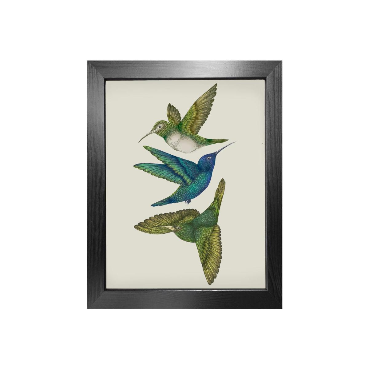 Green Antique Hummingbirds Iii Cream - Fine Art Print A3 Emily Carter