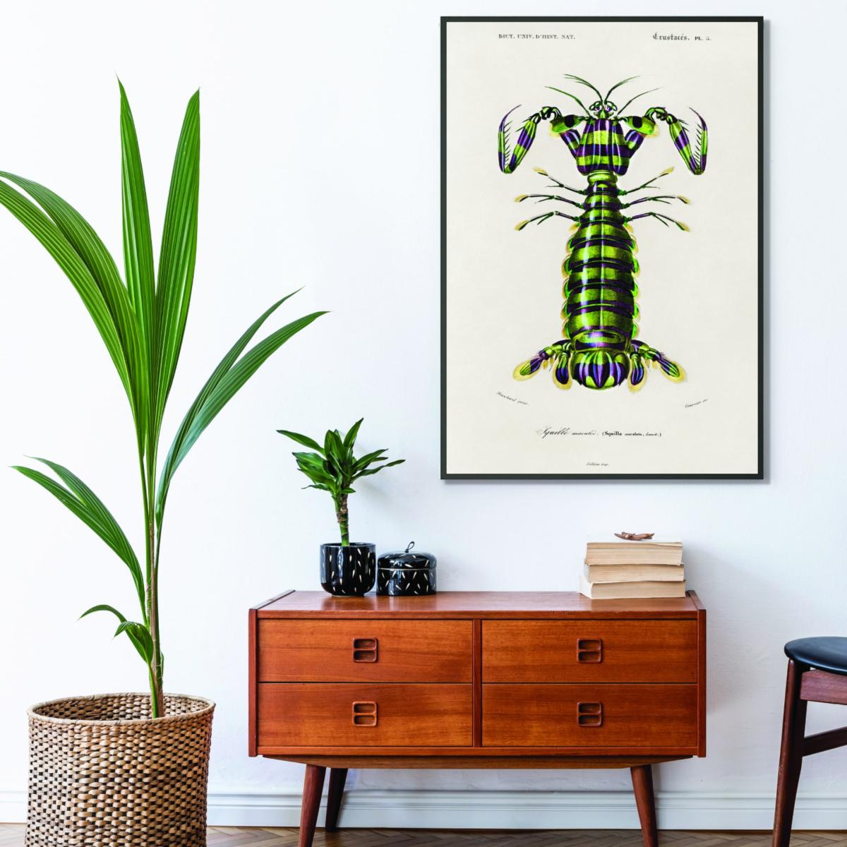 Green Giant Mantis Shrimp Print Xxs Stanley Print House – image 3