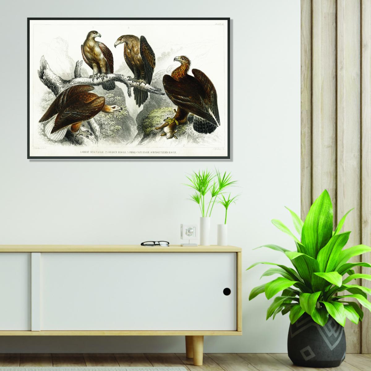 Brown Various Eagles A2 420 X 594Mm Stanley Print House – image 3
