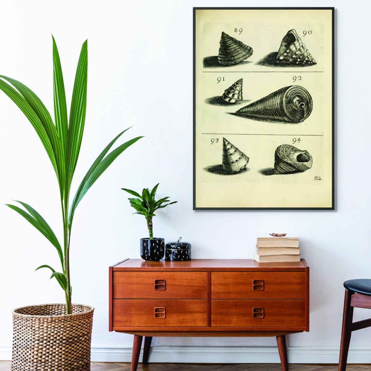 Neutrals Set Of Vintage Shells A4 210 X 297Mm Stanley Print House – image 3
