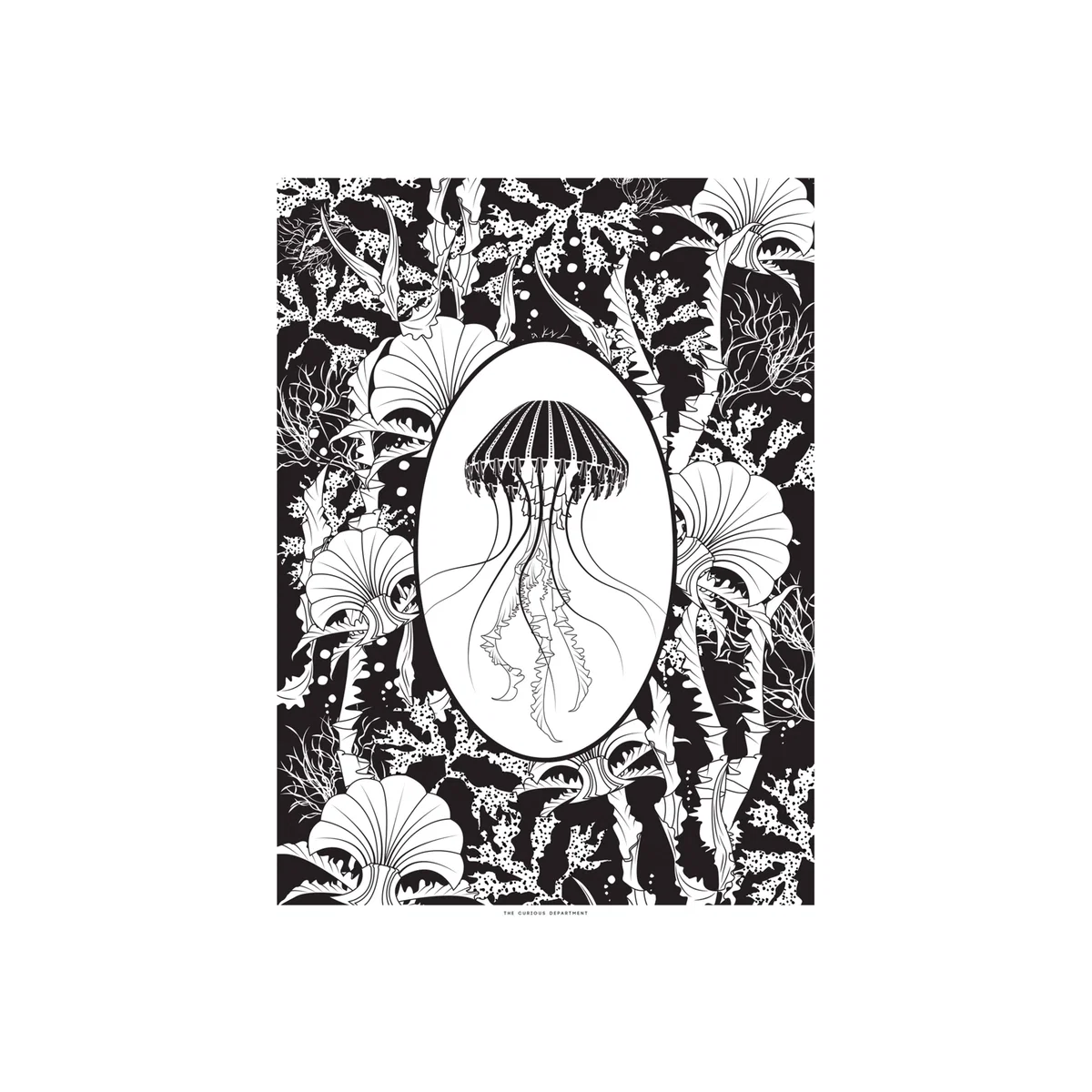 Black / White Elemental Jellyfish Print Black & White The Curious Department – image 1
