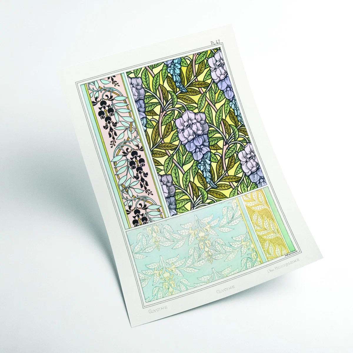 Glycine Wisteria Ii Print By Maurice Pillard Verneuil A2 420 X 594Mm Stanley Print House – image 2
