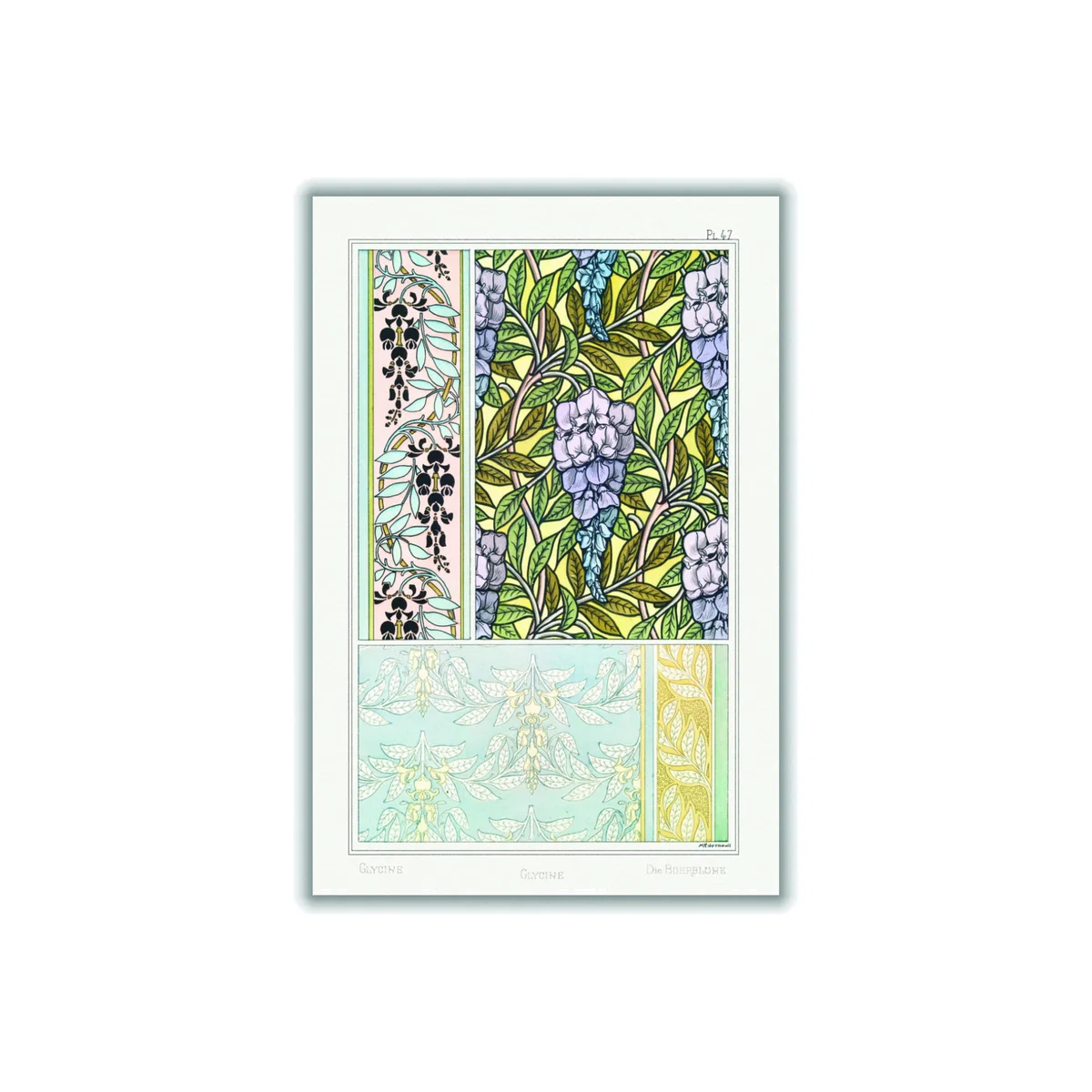 Glycine Wisteria Ii Print By Maurice Pillard Verneuil A2 420 X 594Mm Stanley Print House – image 1