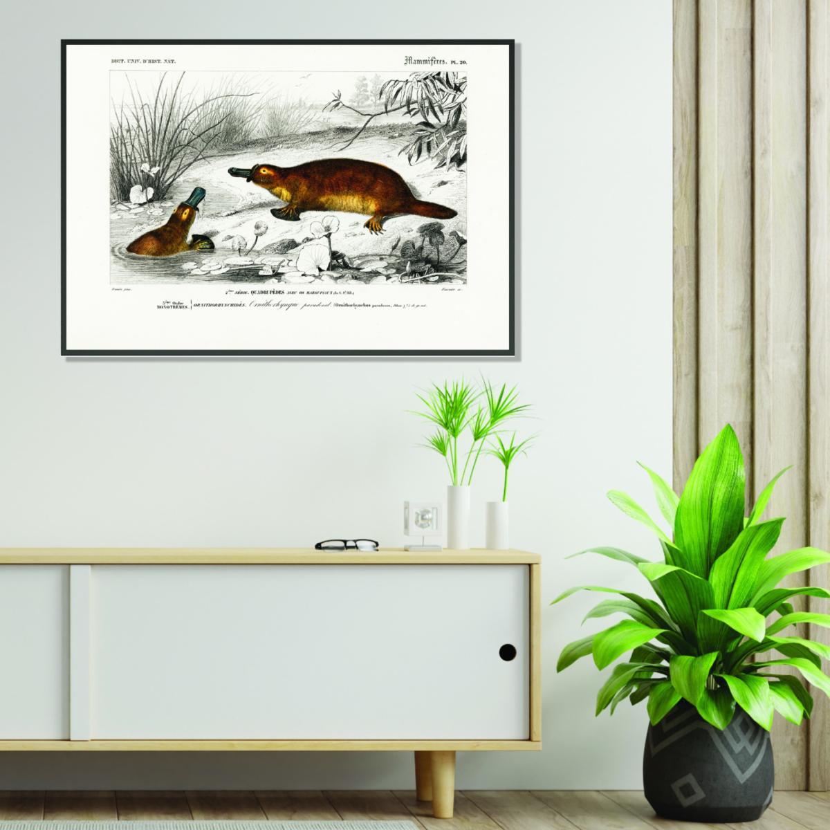 Brown Platypus Extra Large Stanley Print House – image 3