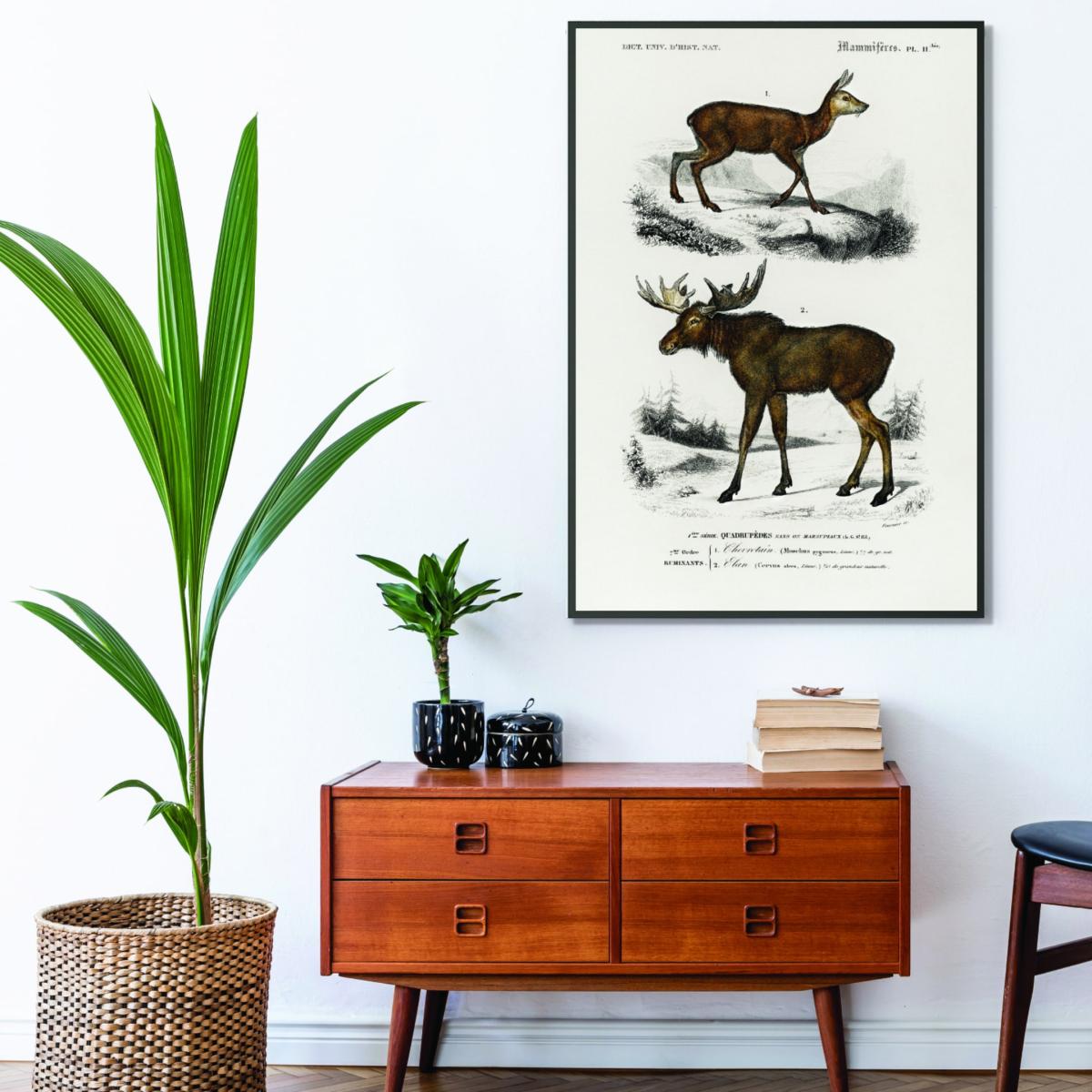 Brown Natural History Deer & Moose Large Stanley Print House – image 3