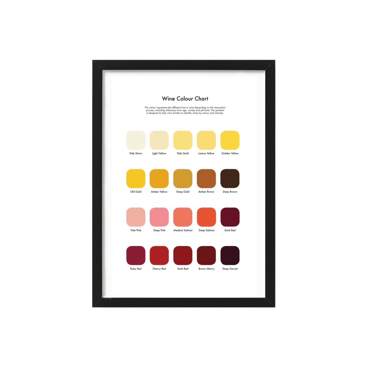 Rose Gold Wine Tasting Colour Chart Studio Story – image 1