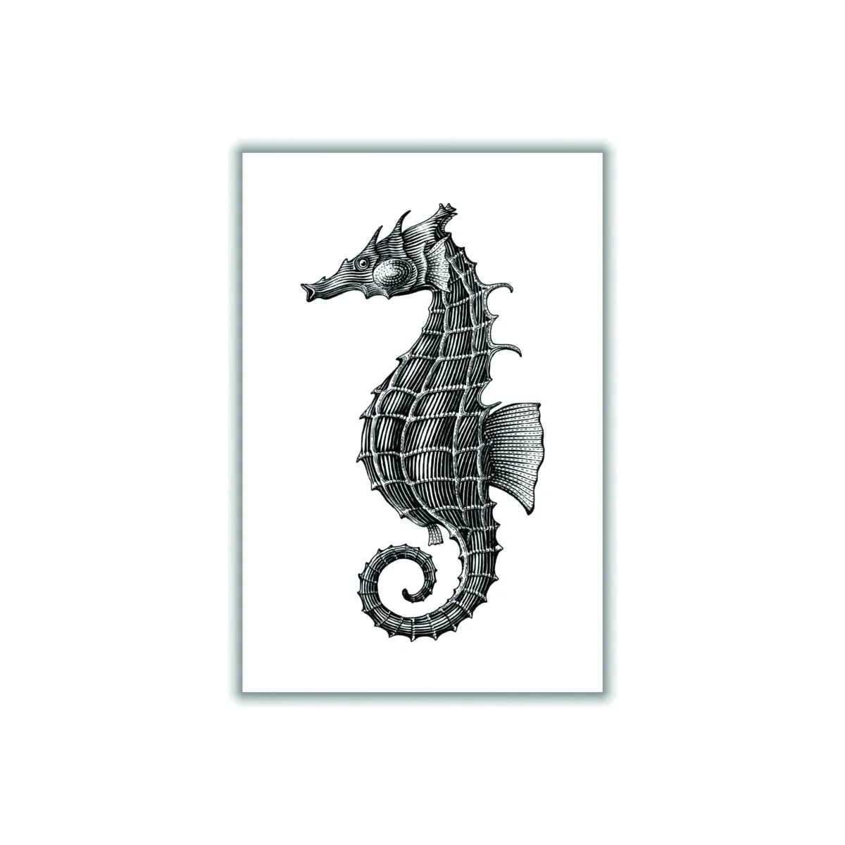 Black Seahorse Extra Large Stanley Print House – image 1