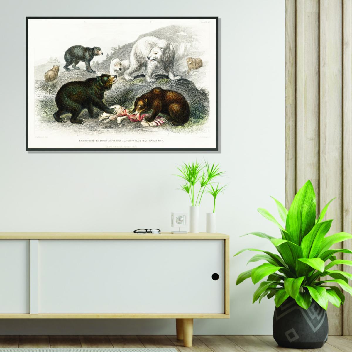 Brown Various Bears Ii Large Stanley Print House – image 3