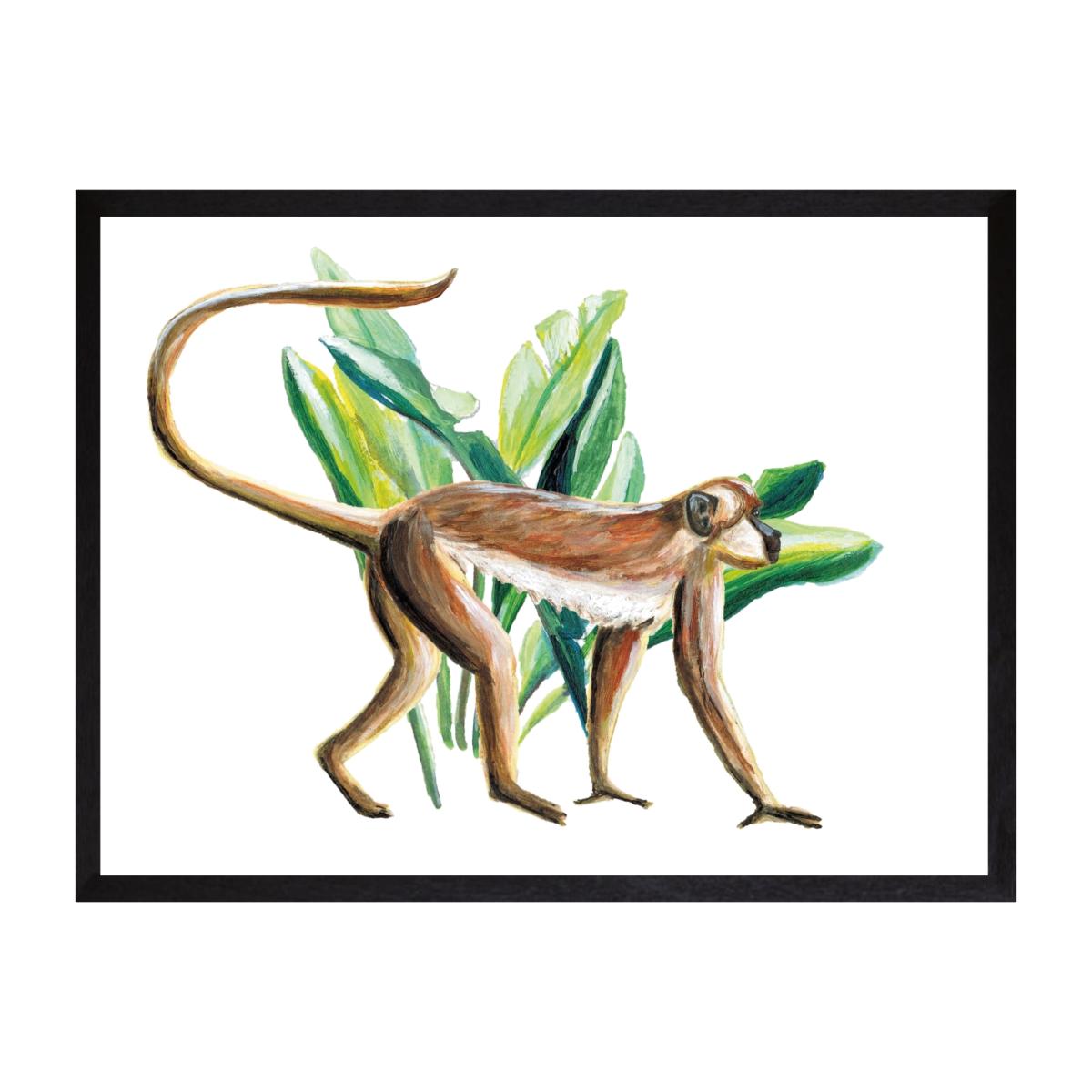 White Monkey Fine Art Print A3 Catchii – image 1