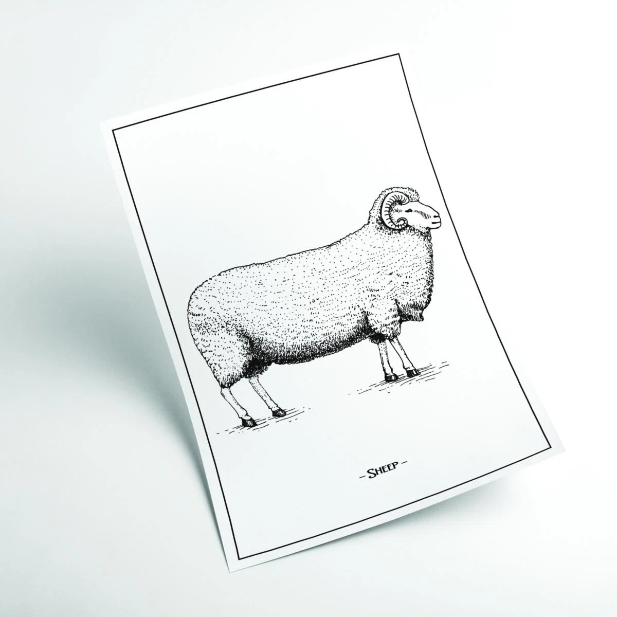 Grey Sheep Extra Small Stanley Print House – image 2