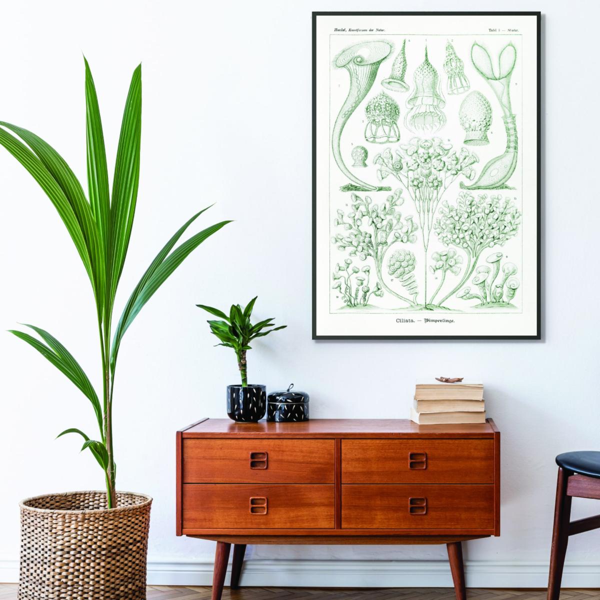 Green Ciliata-Wimperlinge By Ernst Haeckel Extra Small Stanley Print House – image 3