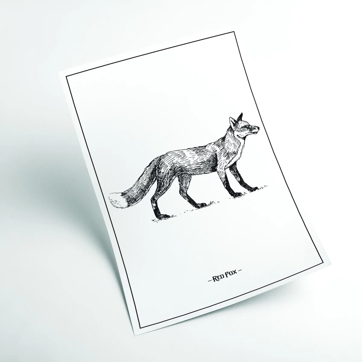 Black Red Fox Xxs Stanley Print House – image 2