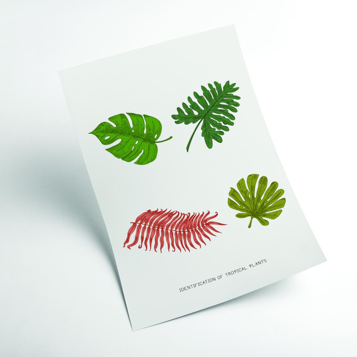 Green Identification Of Tropical Plants Extra Small Stanley Print House – image 2
