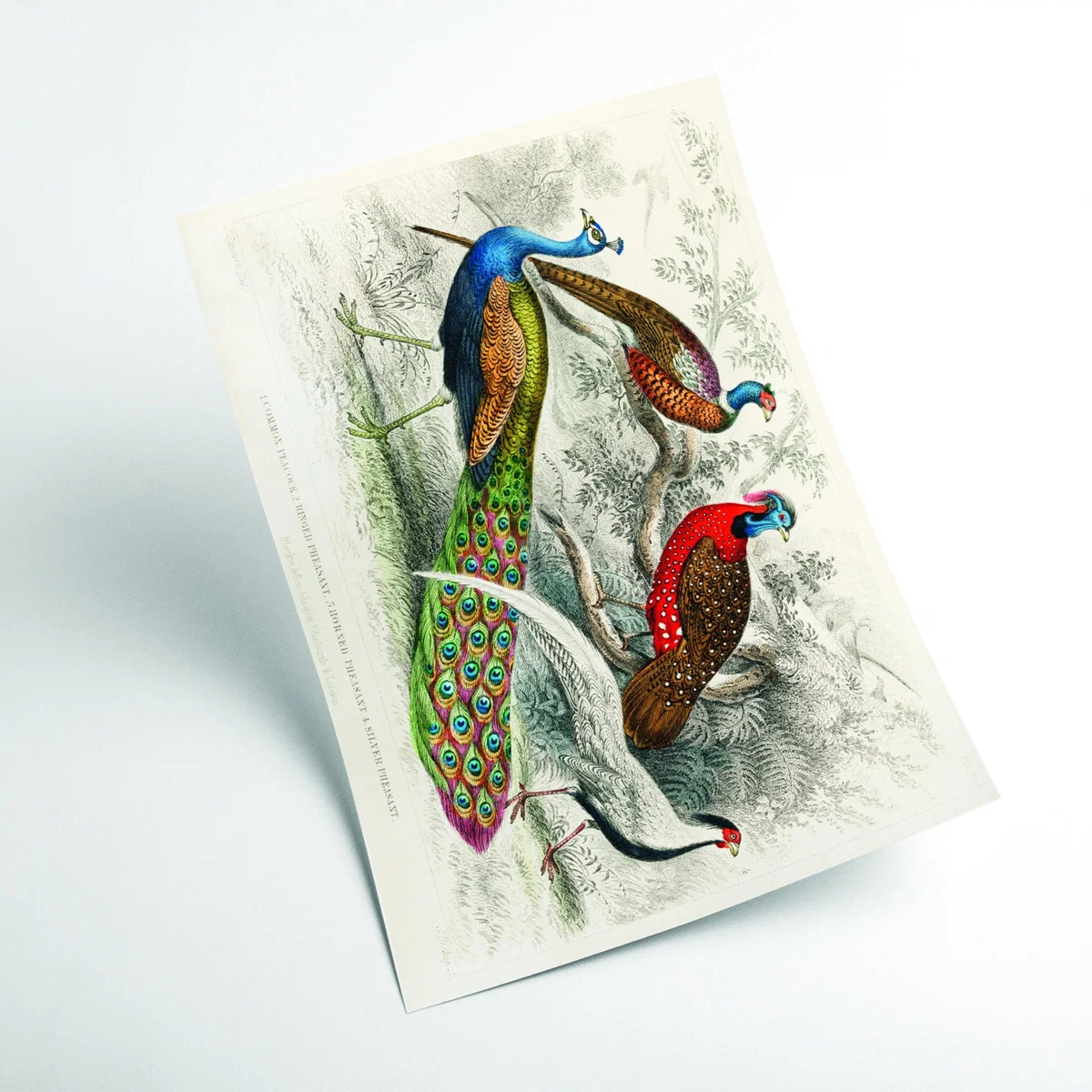 Colourful Birds Large Stanley Print House – image 2