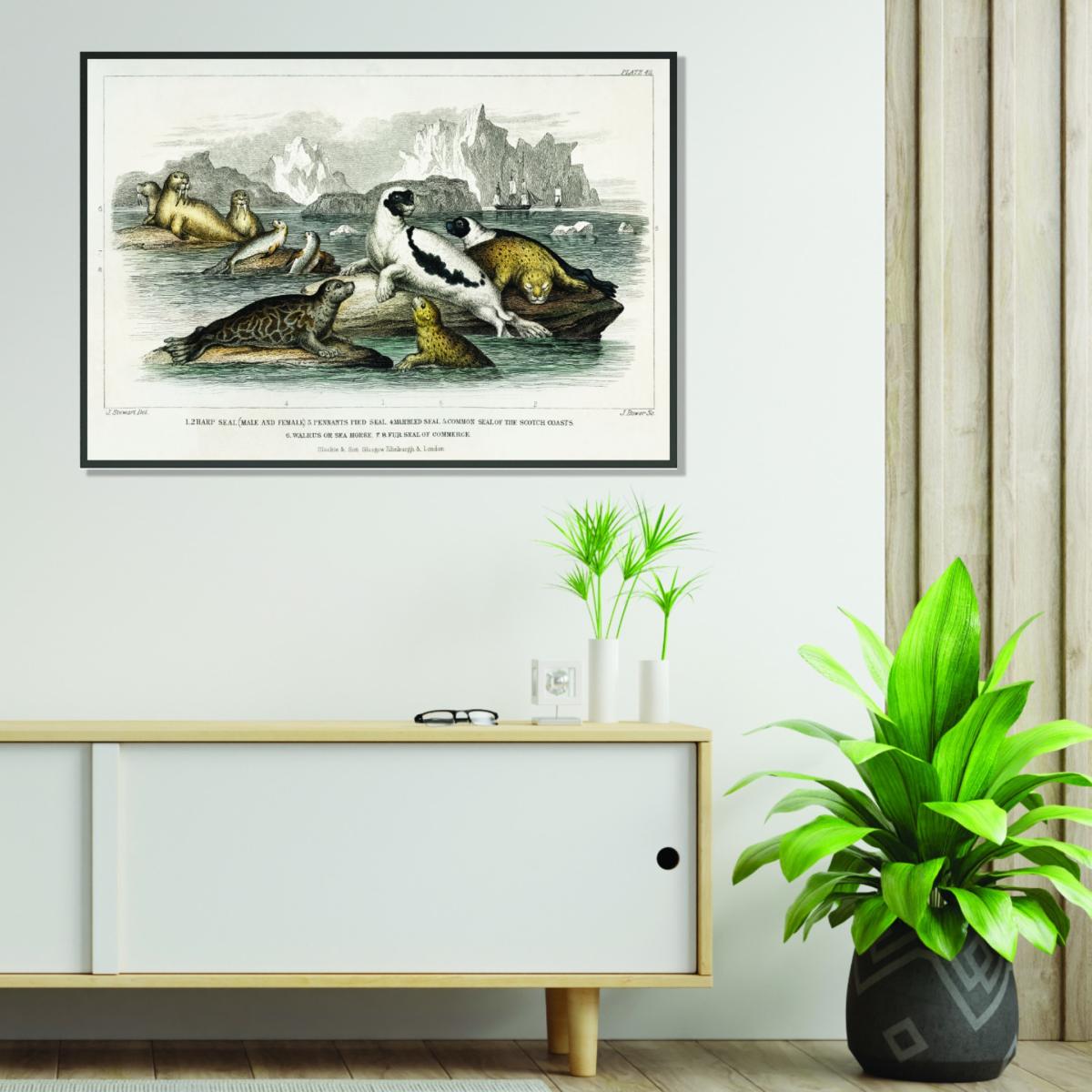 Neutrals Various Types Of Seal A1 594 X 841Mm Stanley Print House – image 3