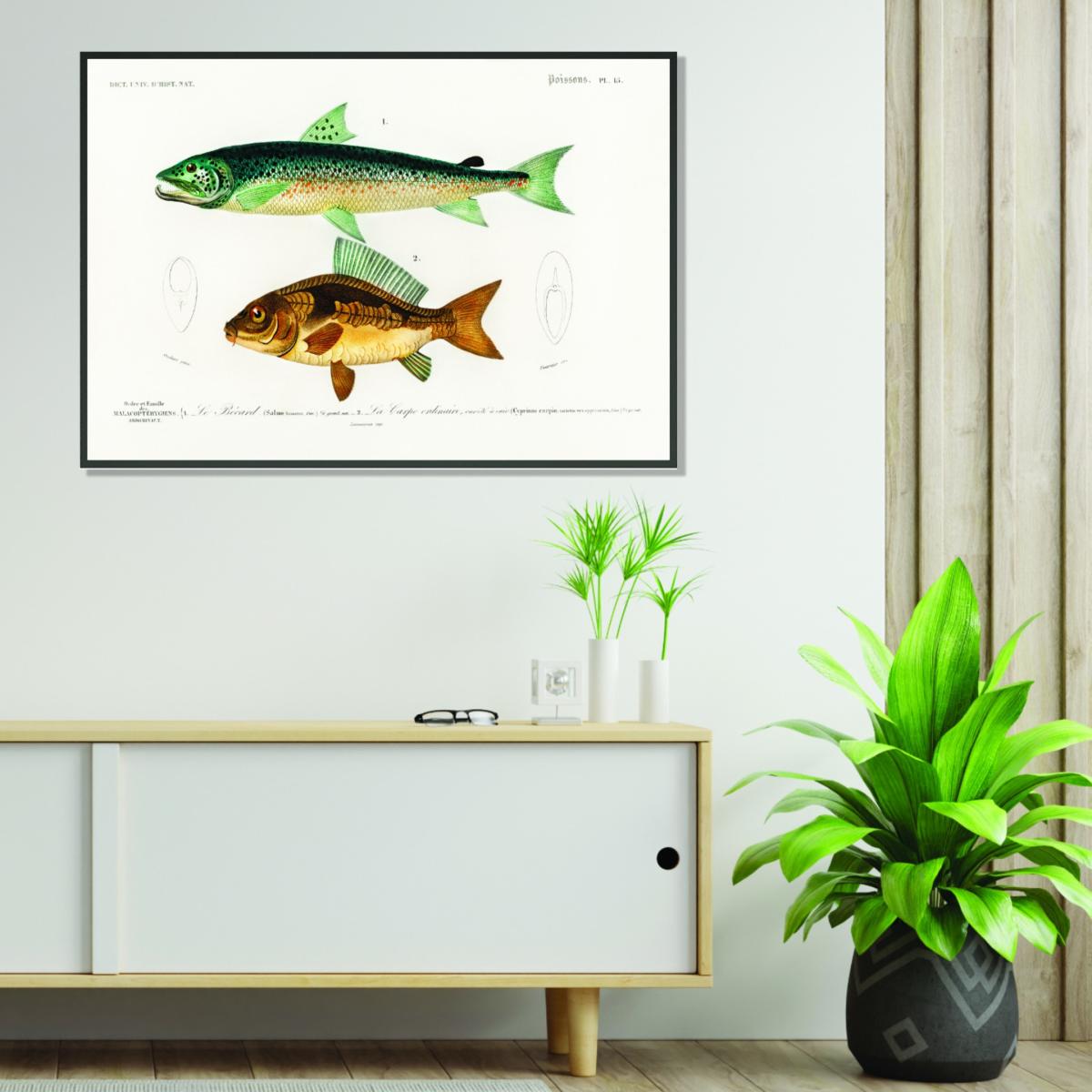 Yellow / Orange Salmo Hamatus And Cyprinus Carpio A1 594 X 841Mm Stanley Print House – image 3