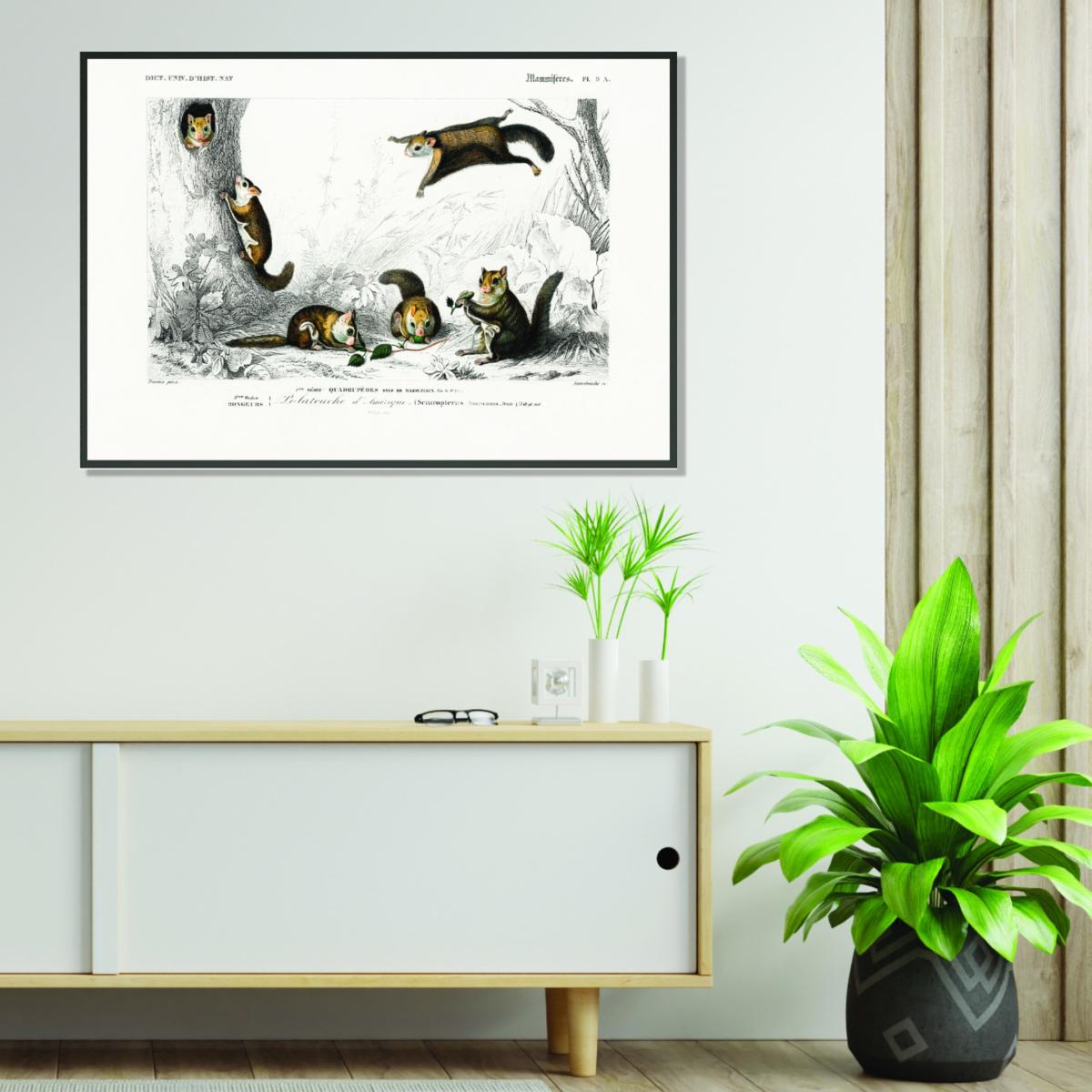 Brown Glaucomys Sabrinus Medium Stanley Print House – image 3