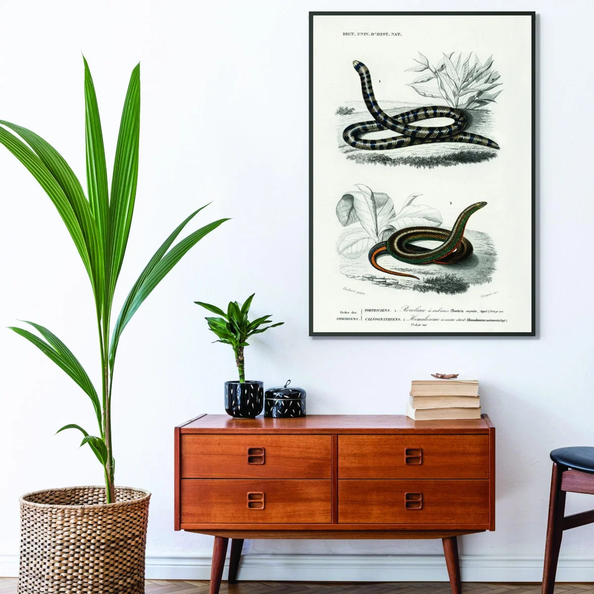 Anilius - Neutrals A3 297 X 420Mm Stanley Print House – image 3