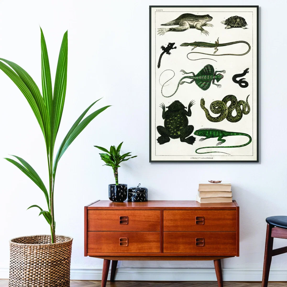 Green Reptiles Extra Small Stanley Print House – image 3
