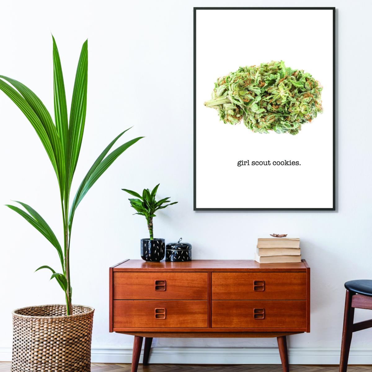 Green Girl Scout Cookies Bud Name A2 420 X 594Mm Stanley Print House – image 3
