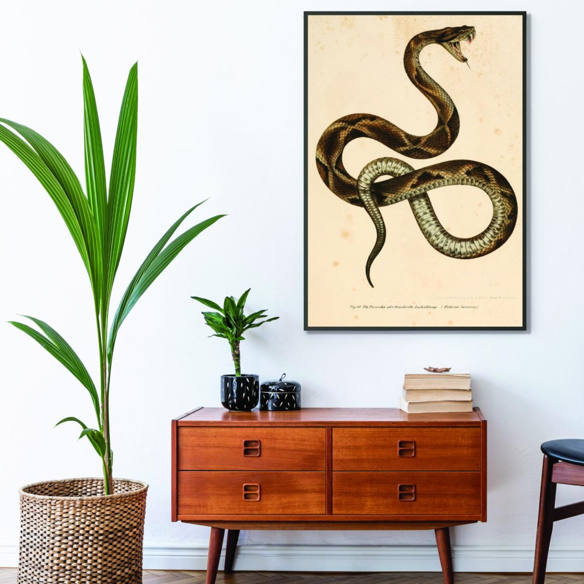 Brown Vintage Snake A4 210 X 297Mm Stanley Print House – image 3
