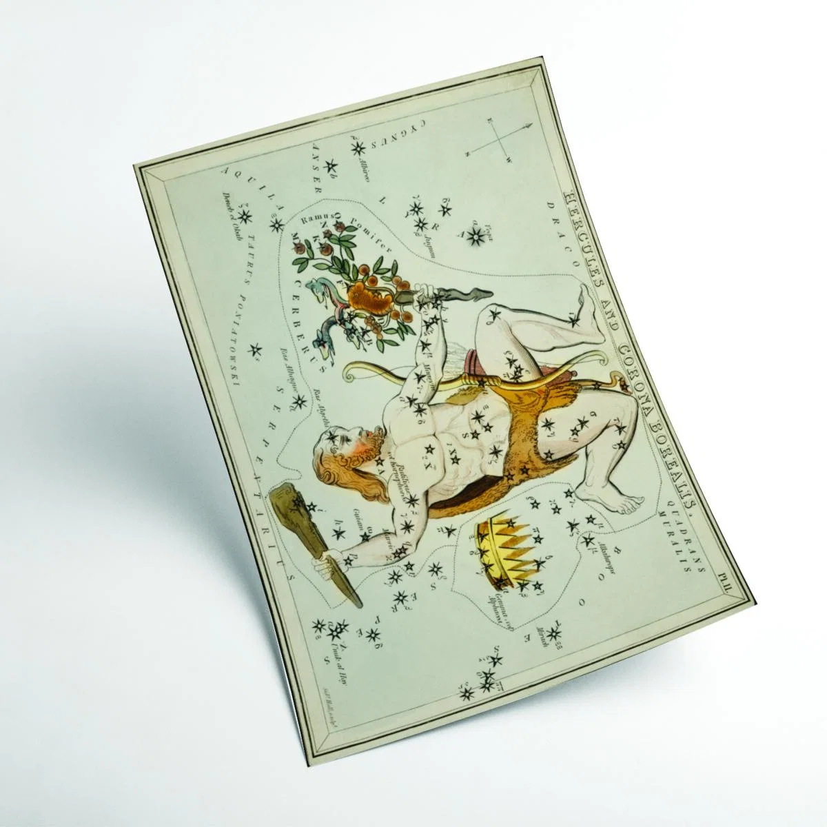 Gold Astronomical Chart Illustration Of The Hercules And The Corona Borealis A2 420 X 594Mm Stanley Print House – image 2
