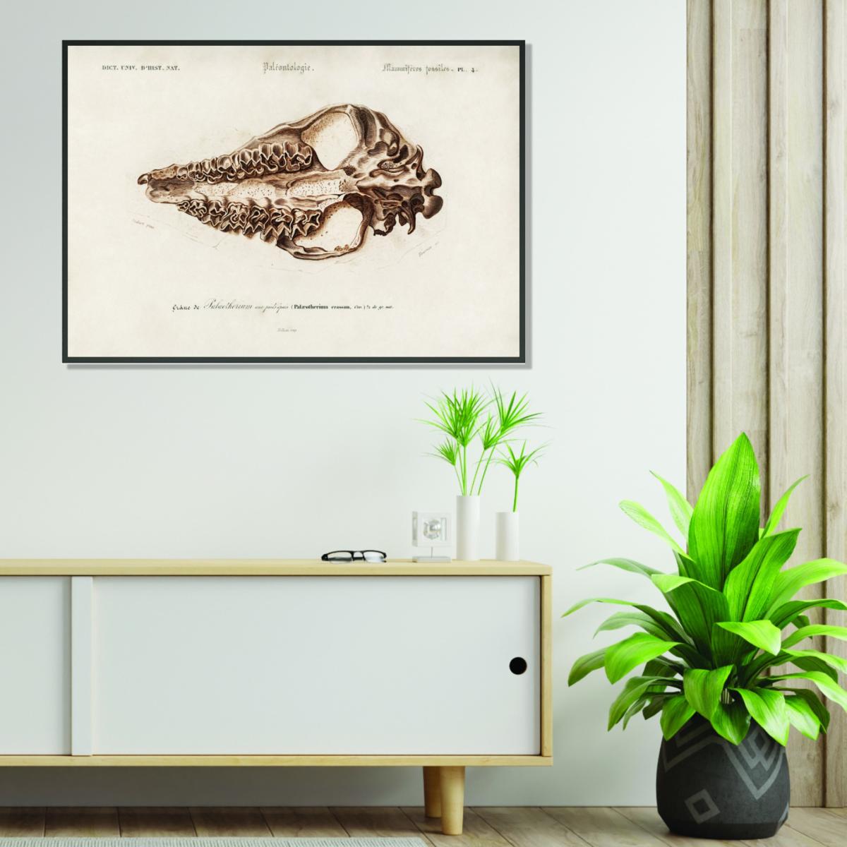 Brown Odd-Toed Unulate Small Stanley Print House – image 3