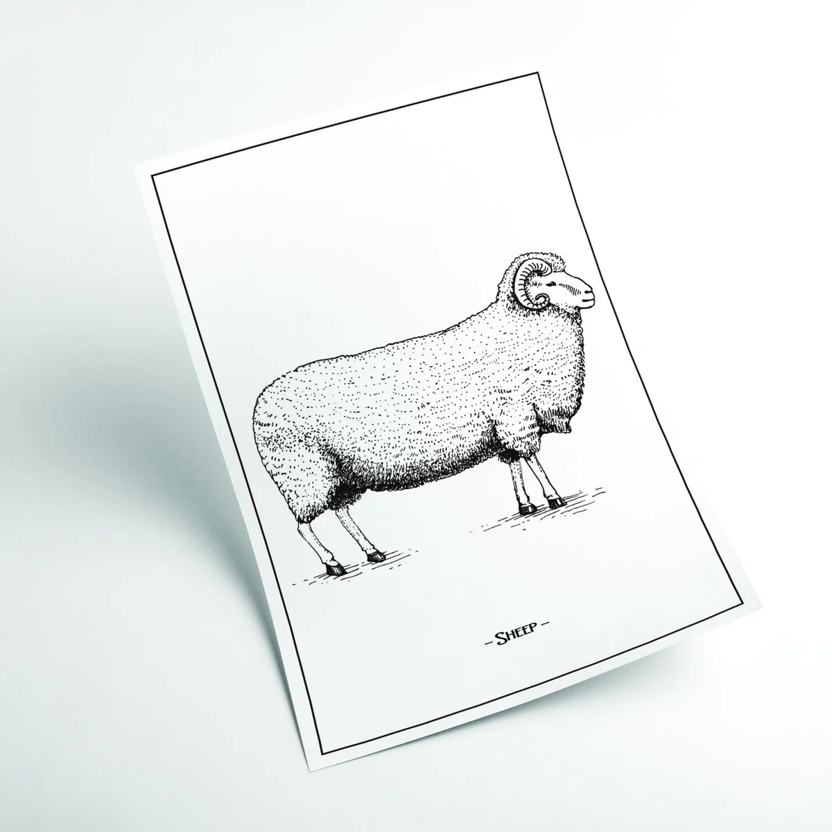 Grey Sheep Xxs Stanley Print House – image 2