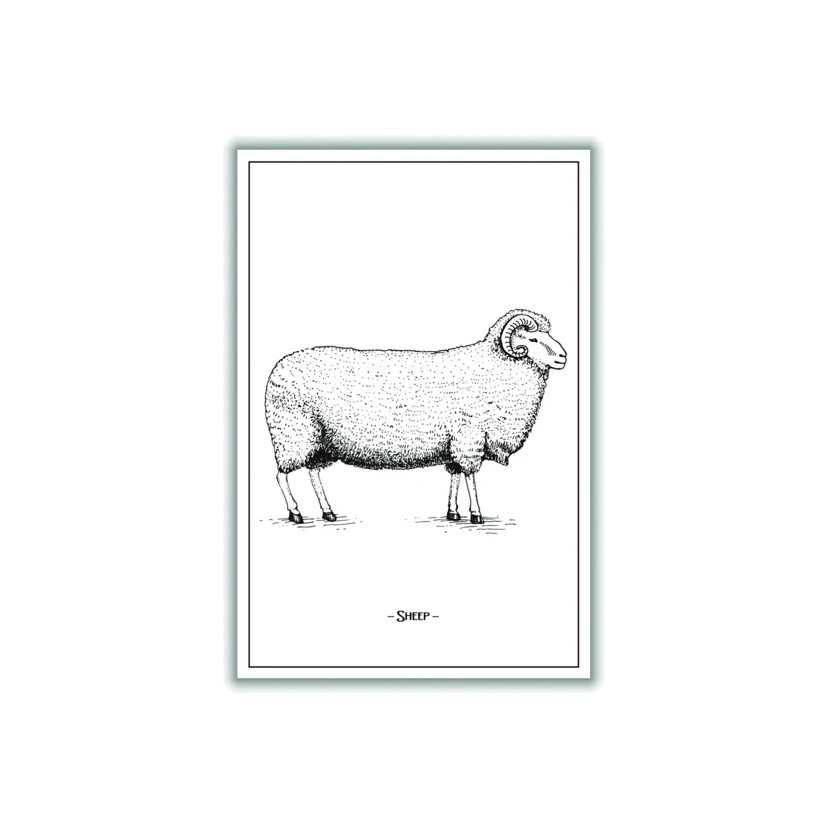 Grey Sheep Xxs Stanley Print House – image 1