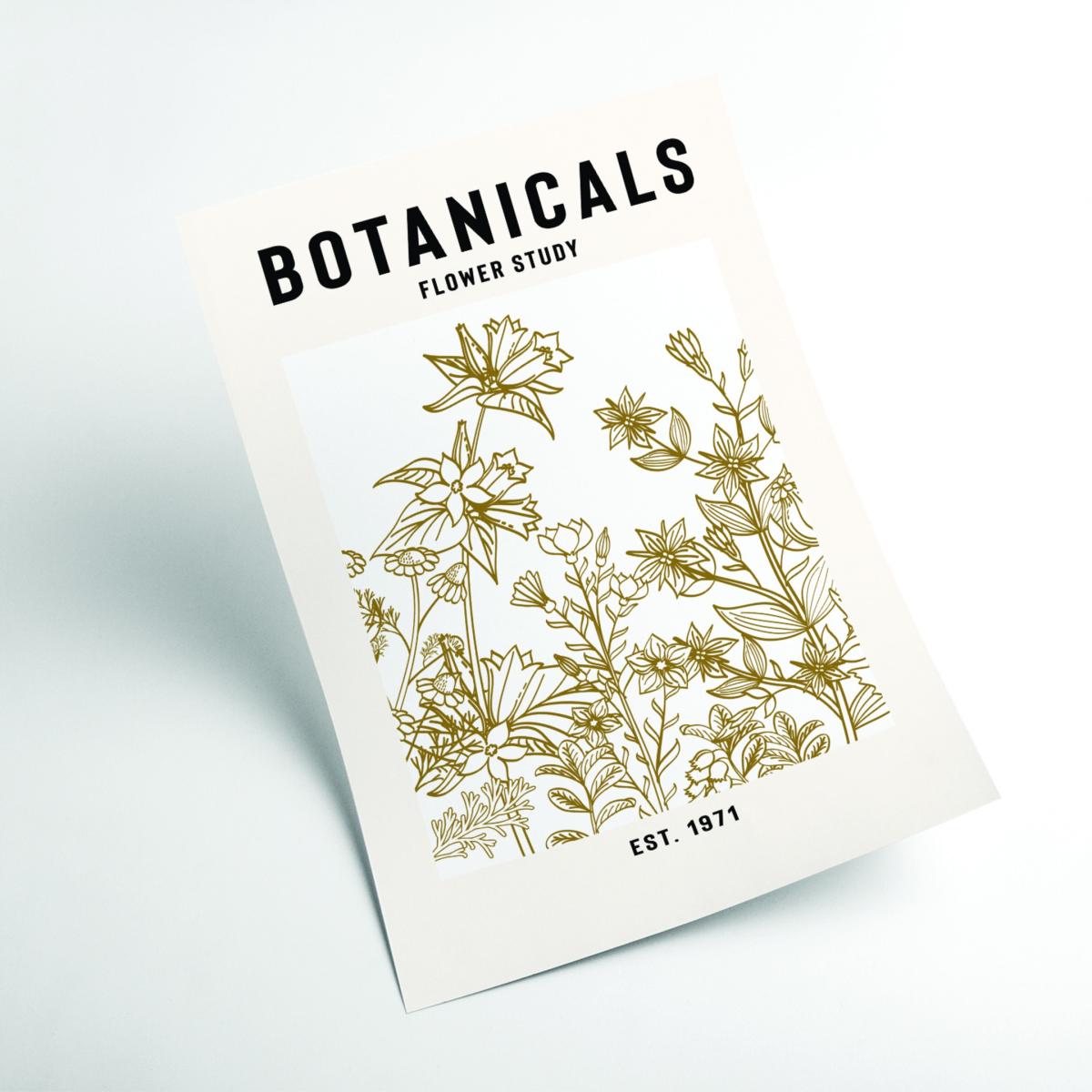 Brown Botanicals Flower Study Ii A4 210 X 297Mm Stanley Print House – image 2