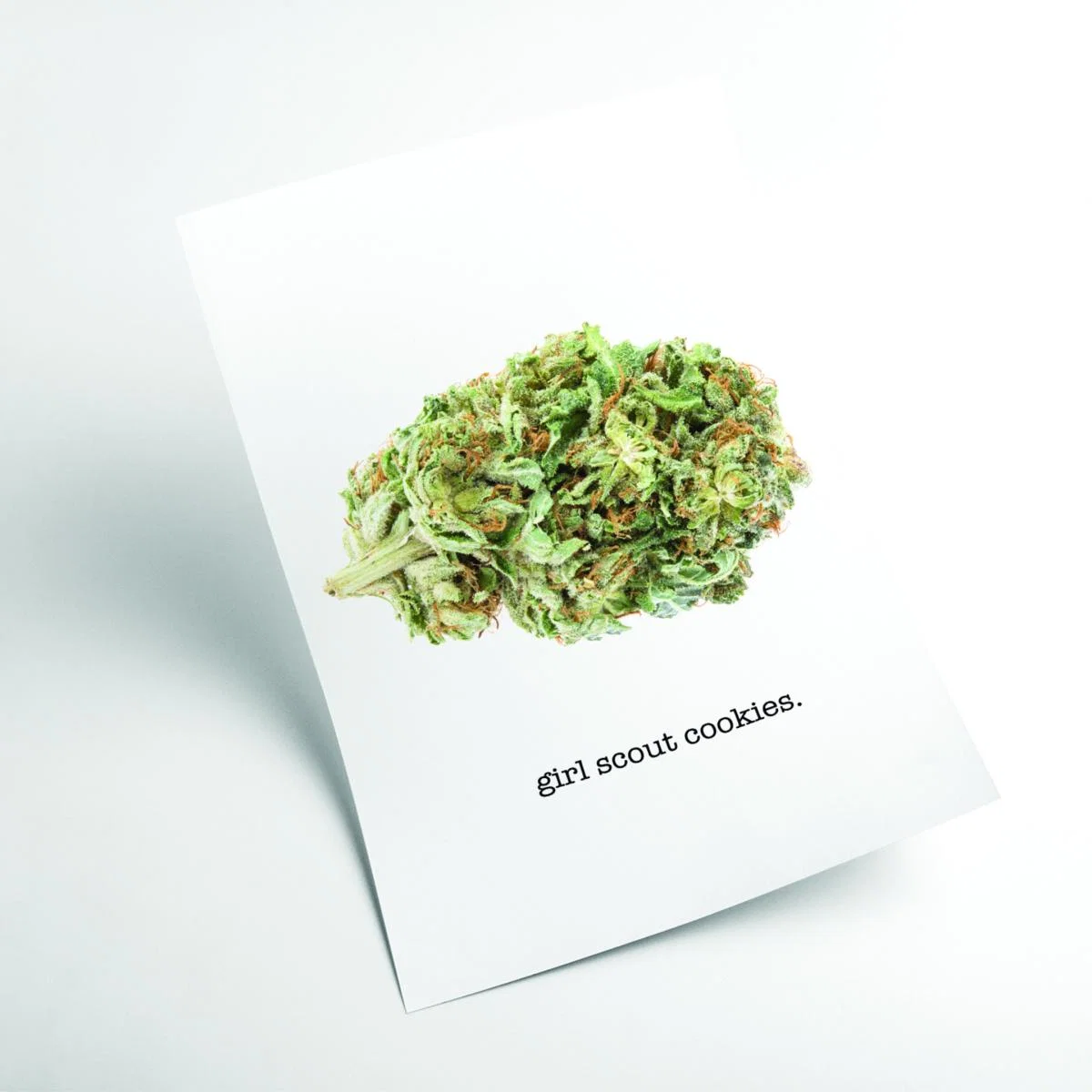 Green Girl Scout Cookies Bud Name Extra Large Stanley Print House – image 2