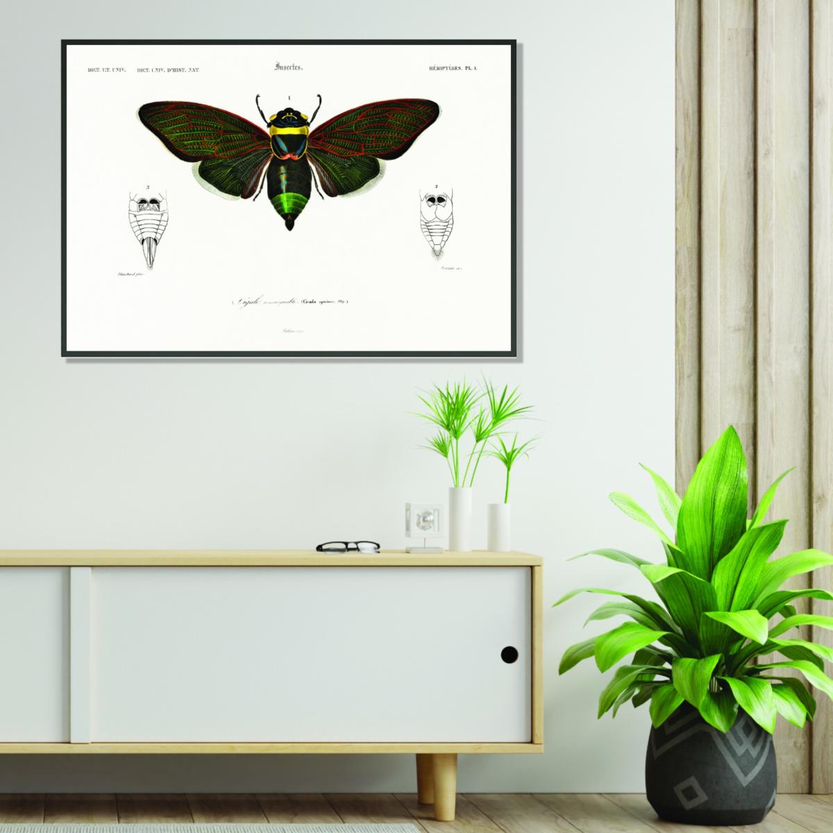 Gian Cicuda Large Stanley Print House – image 2