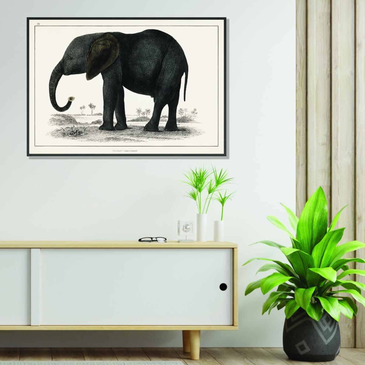A Portrait Of A Dark Grey Elephant A1 594 X 841Mm Stanley Print House – image 3