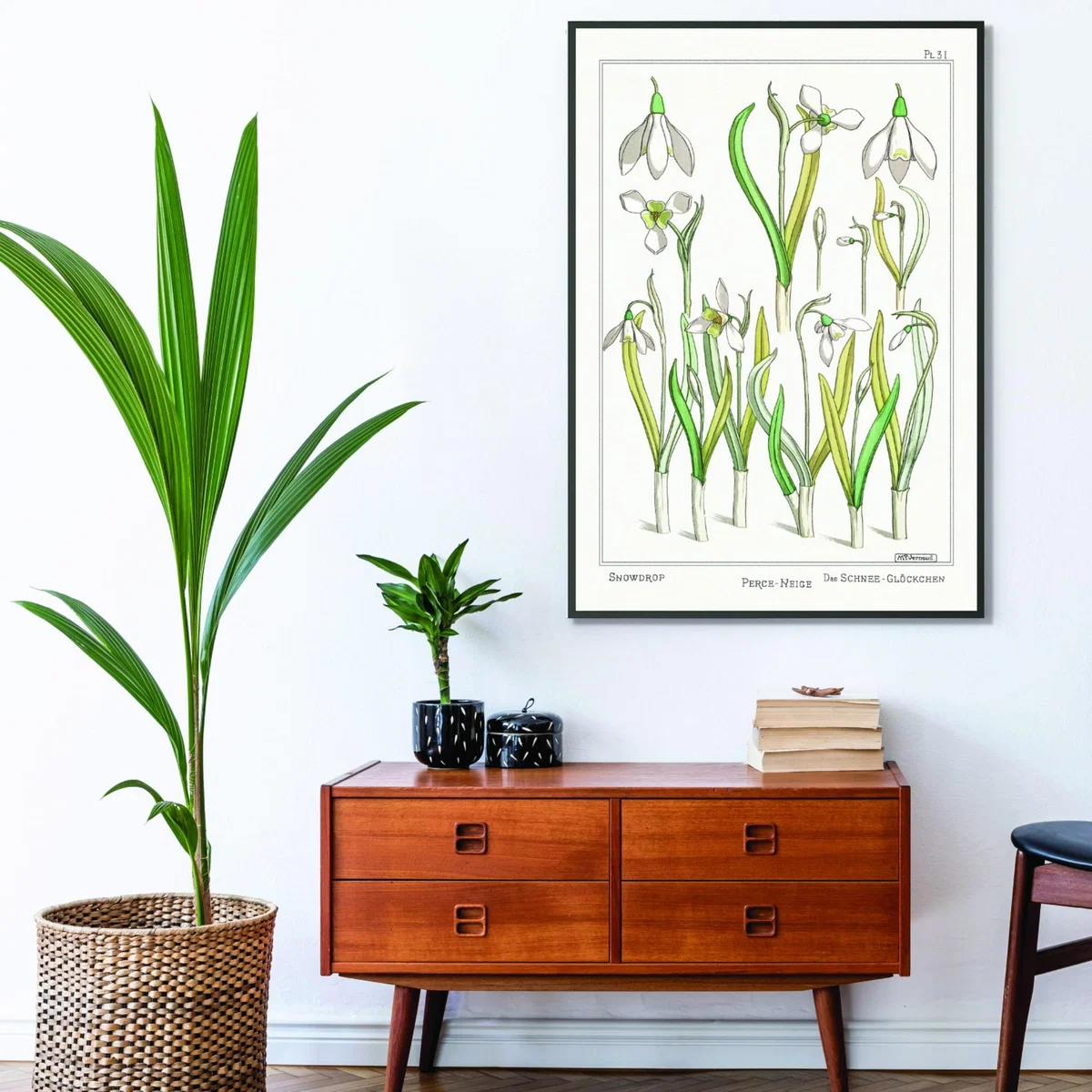Green Perca Fluviatilis & Gymnocephalus A2 420 X 594Mm Stanley Print House – image 3
